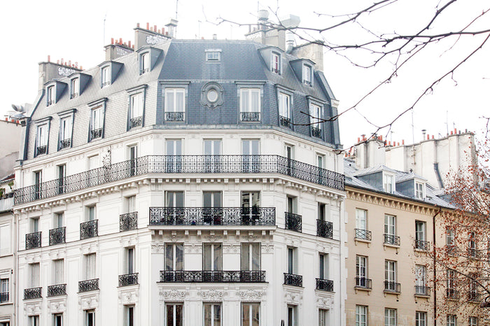 Paris Winter Rooftop View
