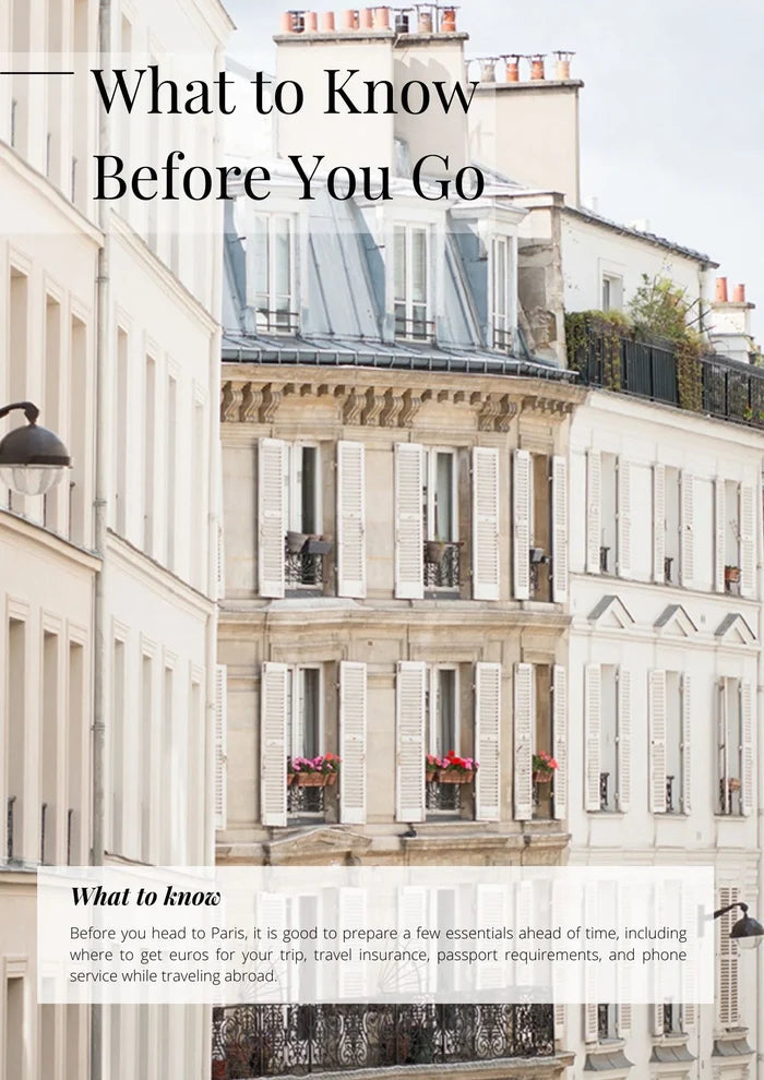 The Paris Guide Printed