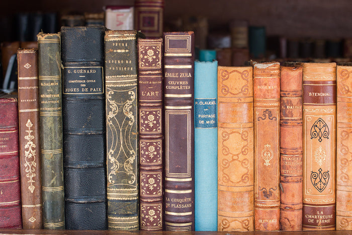 Books for Sale on the Seine - Every Day Paris