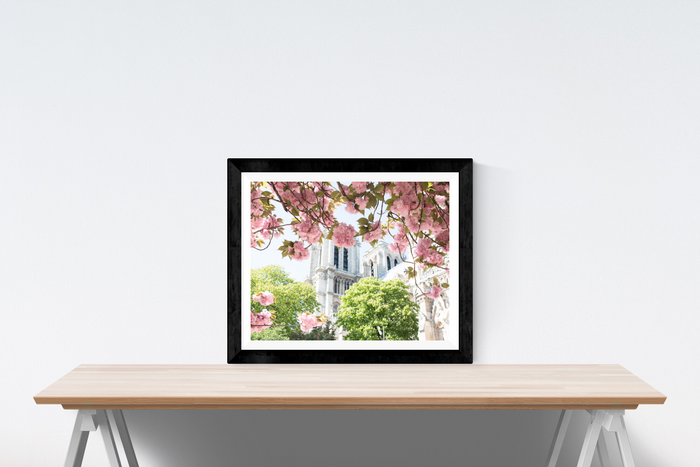 Notre Dame Cherry Blossoms in Paris - Every Day Paris