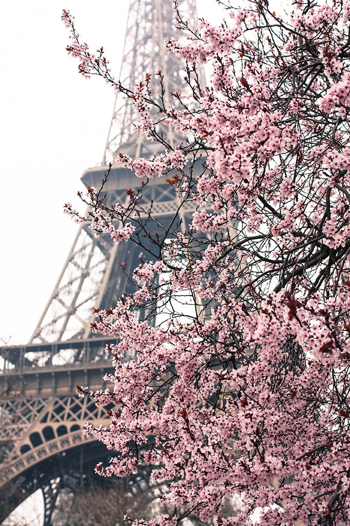 Paris Print Set of 3 in Pink - Every Day Paris