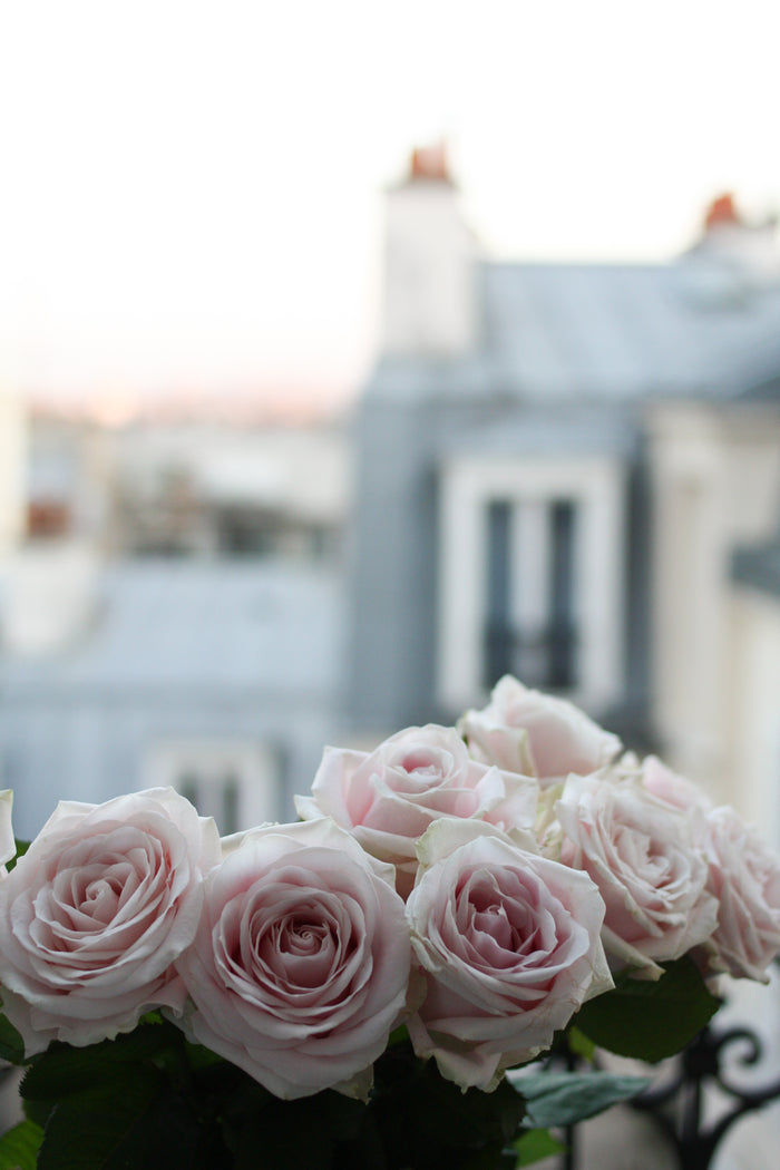 Paris Print Set of 3 in Pink - Every Day Paris