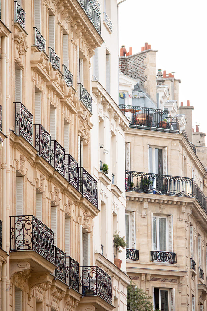 Parisian Rooftops In Montmartre