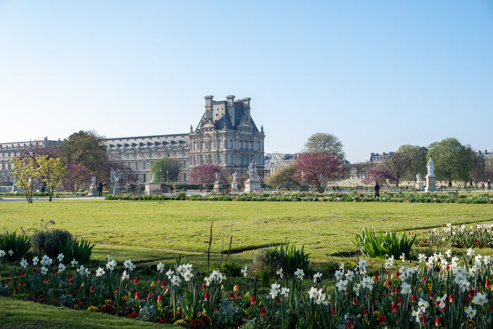 Tuileries Garden Spring