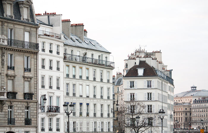 Winter View of Paris - Rebecca Plotnick Photography